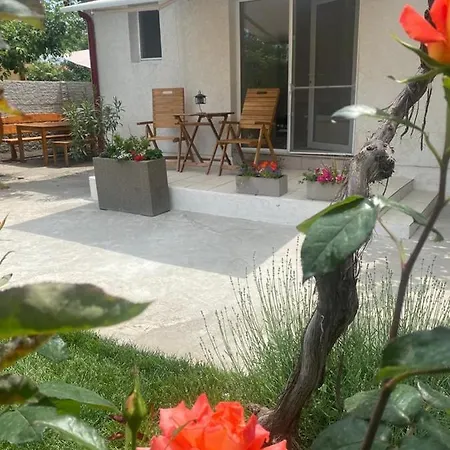 Casa Mateiana Pensjonat 3*